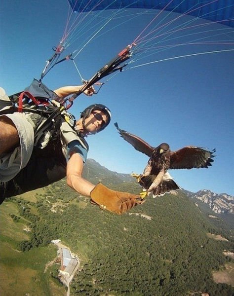 Эмоционально,трогательно,волнующие, до глубины души 