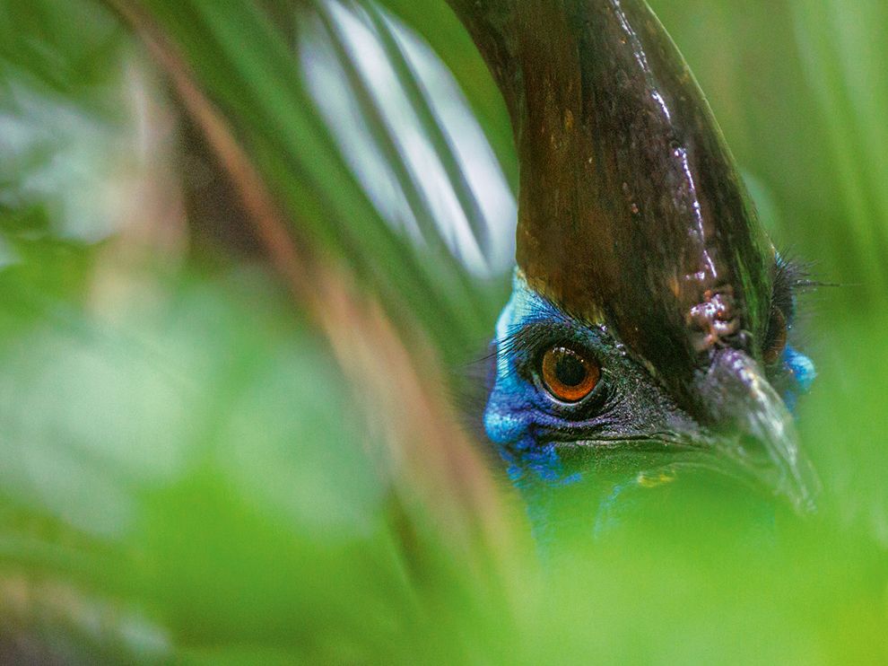 Лучшие фотографии от National Geographic за октябрь 2013 Лучшие, фотографии, National Geographic, октябрь 2013