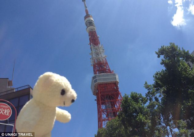 Путешествие, для игрушек, плюшевых, Унаги Трэвэл, Unagi Travel