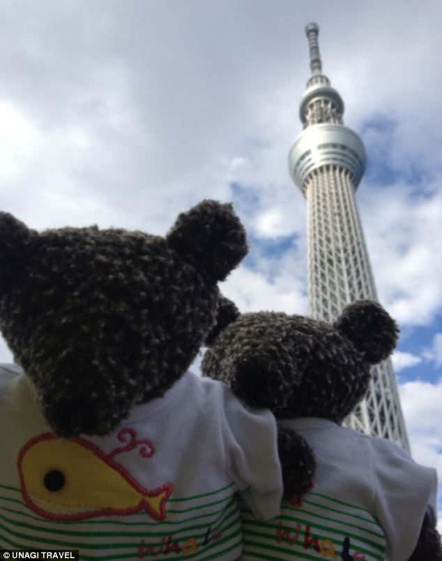 Путешествие, для игрушек, плюшевых, Унаги Трэвэл, Unagi Travel