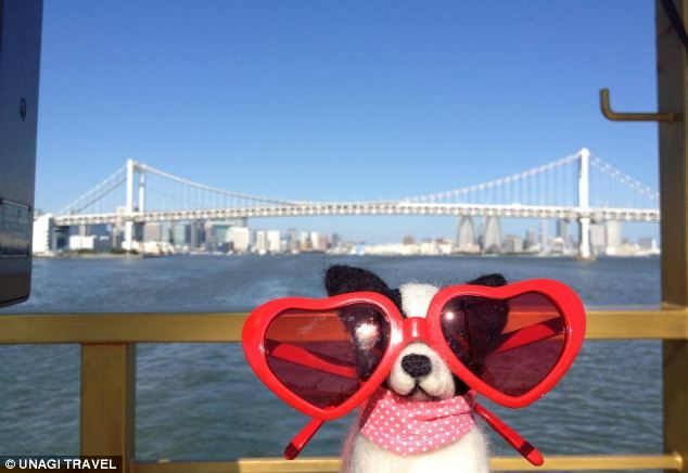 Путешествие, для игрушек, плюшевых, Унаги Трэвэл, Unagi Travel