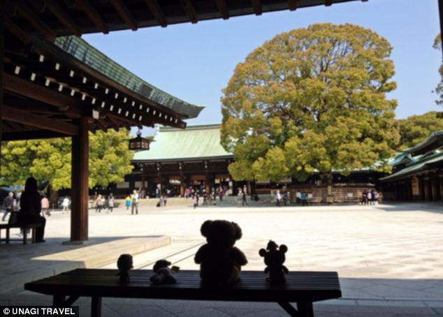 Путешествие, для игрушек, плюшевых, Унаги Трэвэл, Unagi Travel