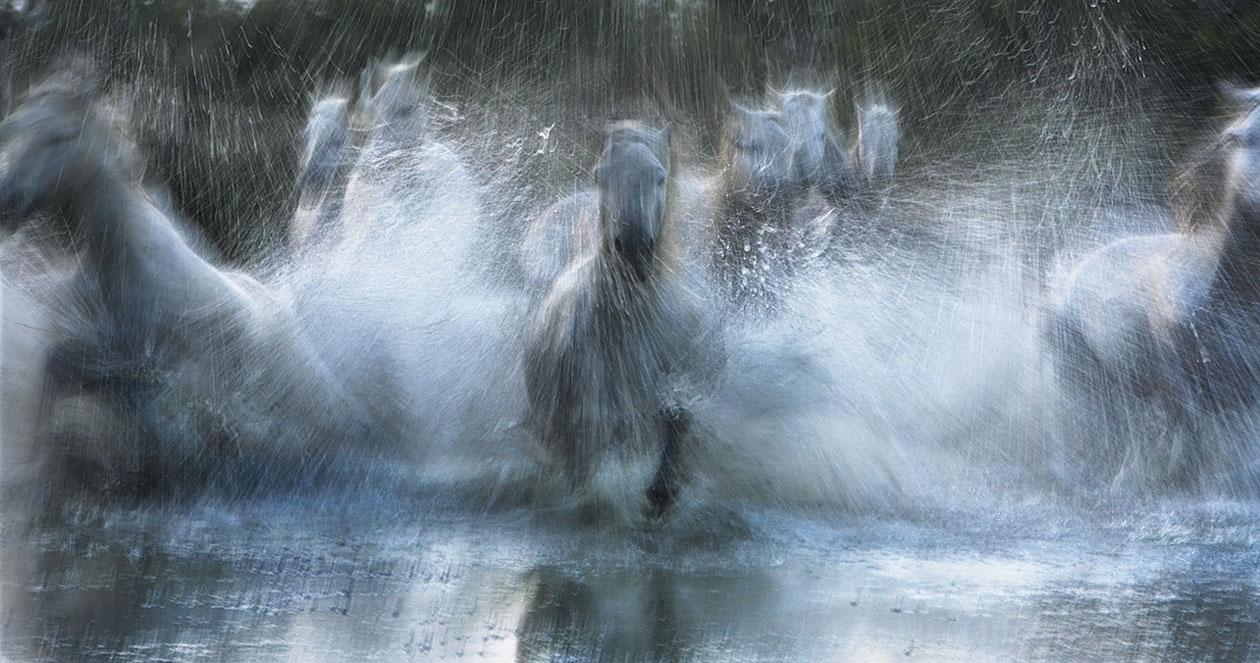  лошади, фотопроект, Тим Флак,Tim Flach, Equus