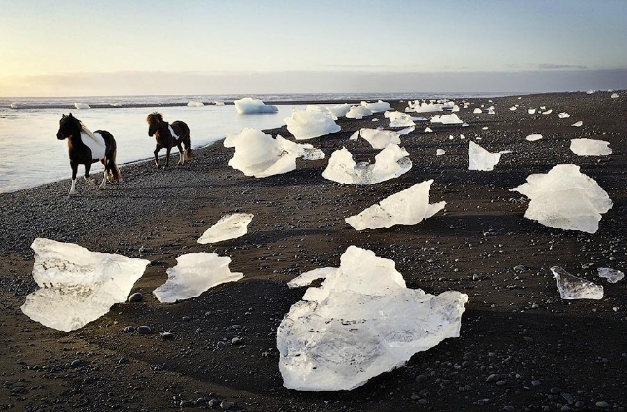  лошади, фотопроект, Тим Флак,Tim Flach, Equus