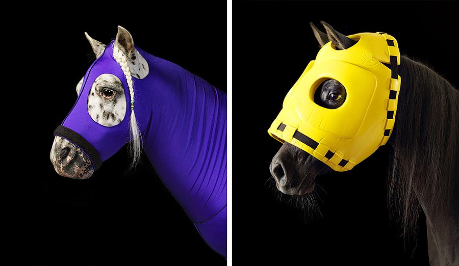  лошади, фотопроект, Тим Флак,Tim Flach, Equus