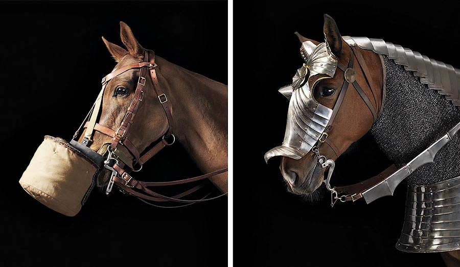  лошади, фотопроект, Тим Флак,Tim Flach, Equus