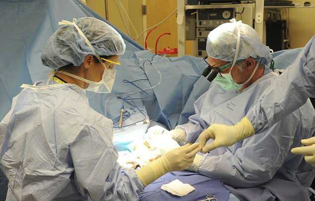 Паралич, нижних конечностей не помешал успешному хирургу продолжить свою работу, Ted Rummel