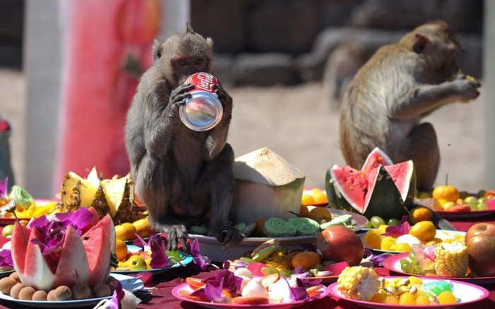 Самые впечатляющие праздники и фестивали фестивали, праздники, самые