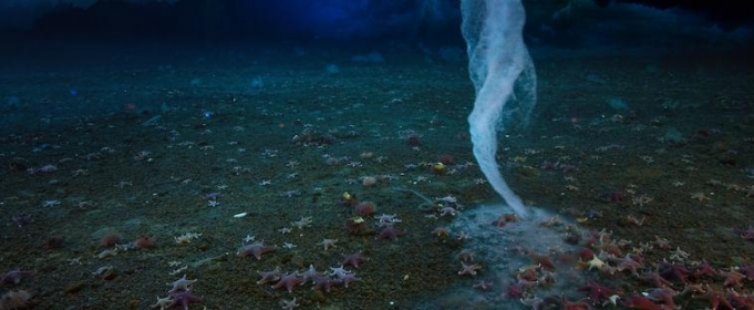 феномены, явления, необычное