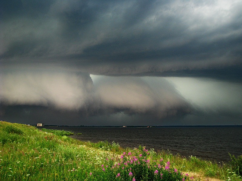 феномены, явления, необычное