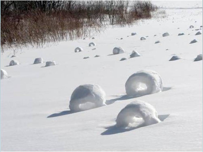 феномены, явления, необычное