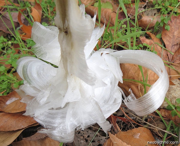 феномены, явления, необычное