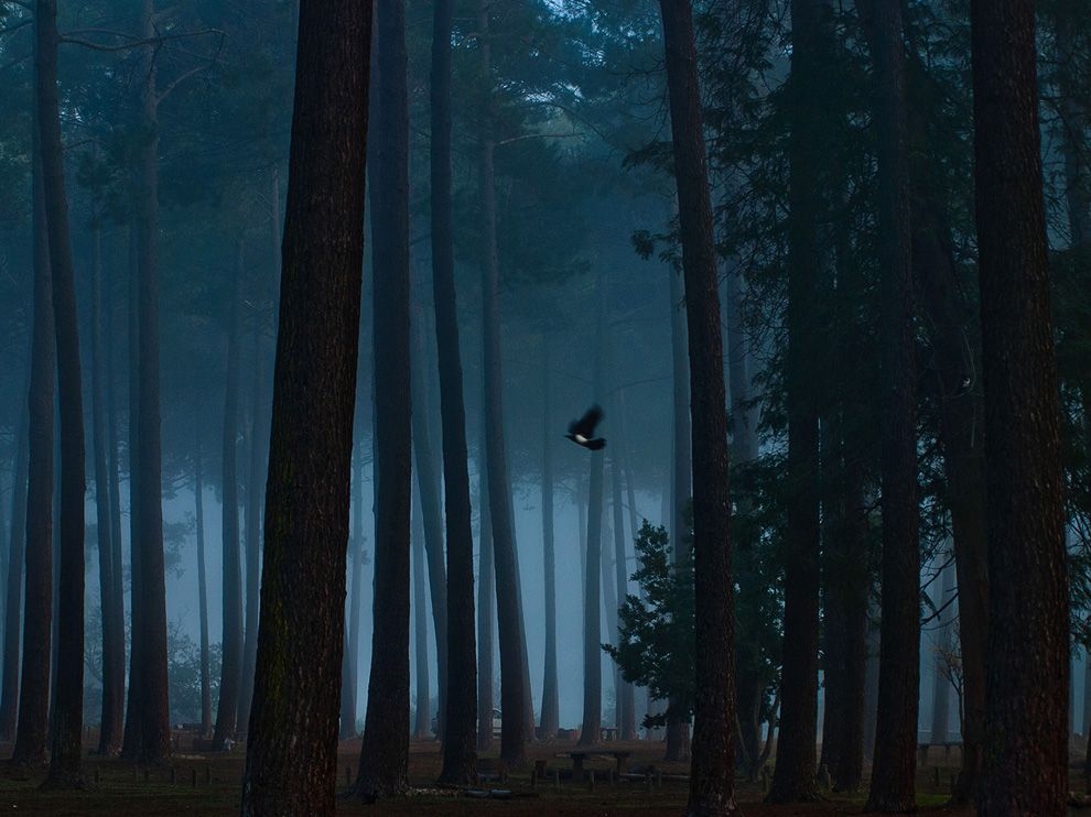  National Geographic май 2013 обои