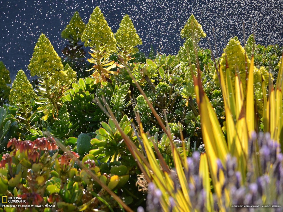  National Geographic май 2013 обои