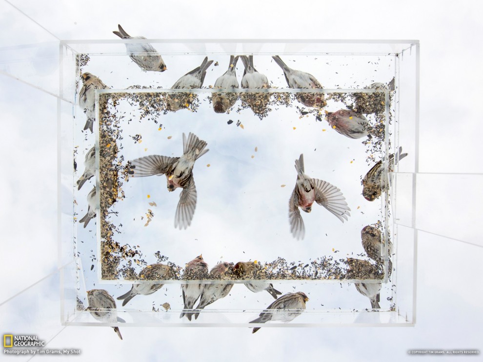  National Geographic май 2013 обои