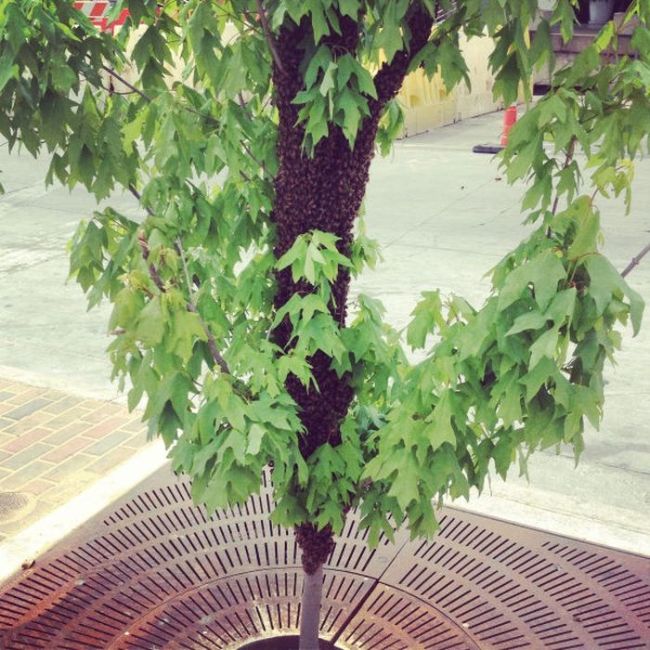 Присмотритесь, ничего не замечаете? Присмотритесь, смешные фото , головоломка , попробуйте, найти