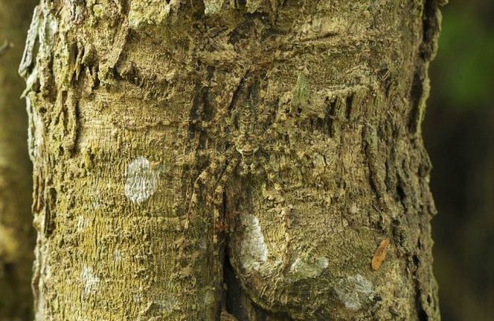 Присмотритесь, ничего не замечаете? Присмотритесь, смешные фото , головоломка , попробуйте, найти