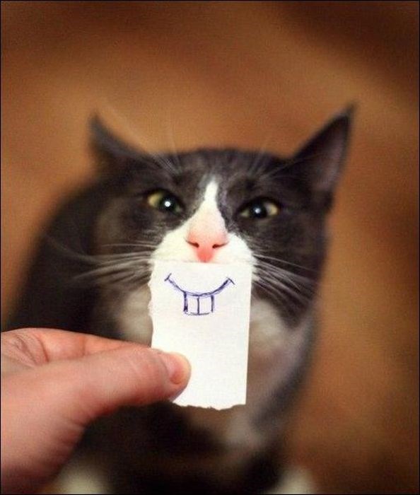 позитивные фотографии, смех, люди смеются, смешные снимки