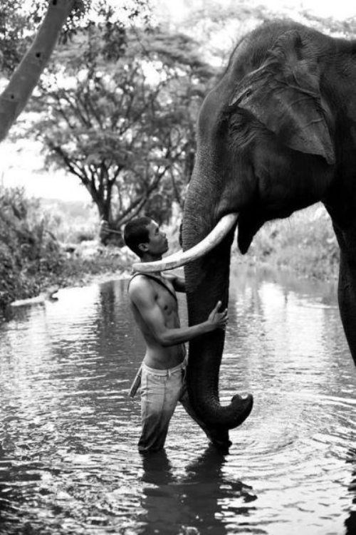 трогательные фото, волнующие снимки, эмоциональные фотографии