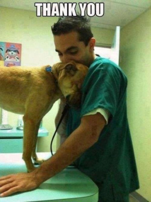 трогательные фото, волнующие снимки, эмоциональные фотографии