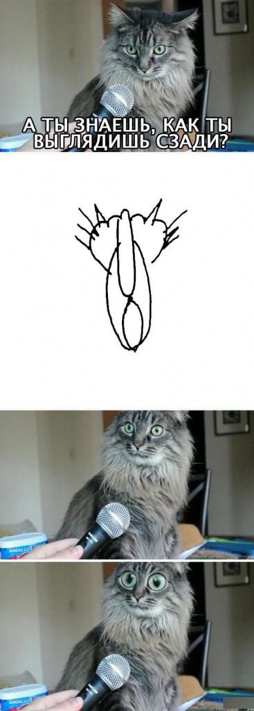 Владимир Путин озадачил школьников своим странным рисунком