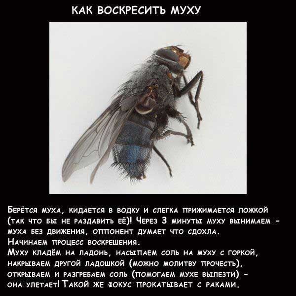 10 хитрых пари, чтобы приколоть своих друзей 10, хитрые пари, приколы, для друзей, споры