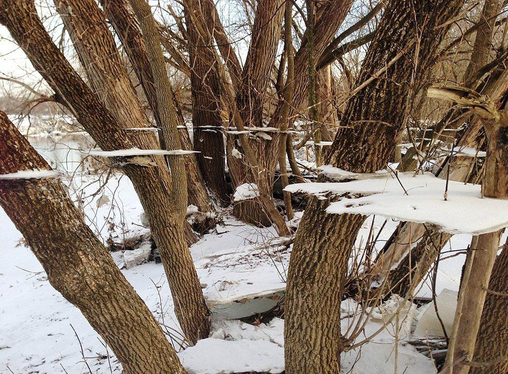Коллекция удачных снимков без использования фотошопа Коллекция, удачный, снимок,без фотошопа