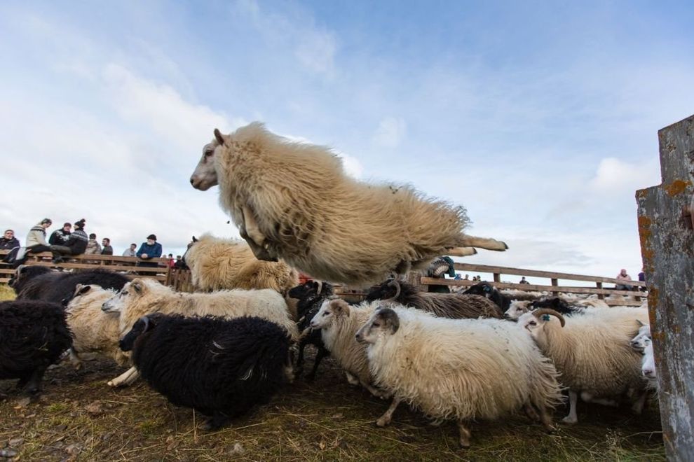 Коллекция удачных снимков без использования фотошопа Коллекция, удачный, снимок,без фотошопа