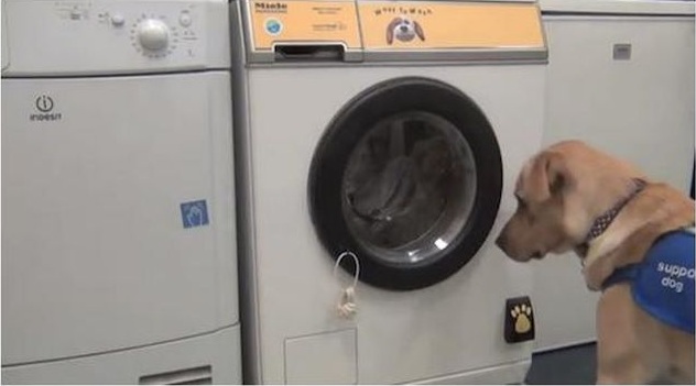 Креативные, интересные, необычные, дизайнерские, вещи, штуки, гаджеты