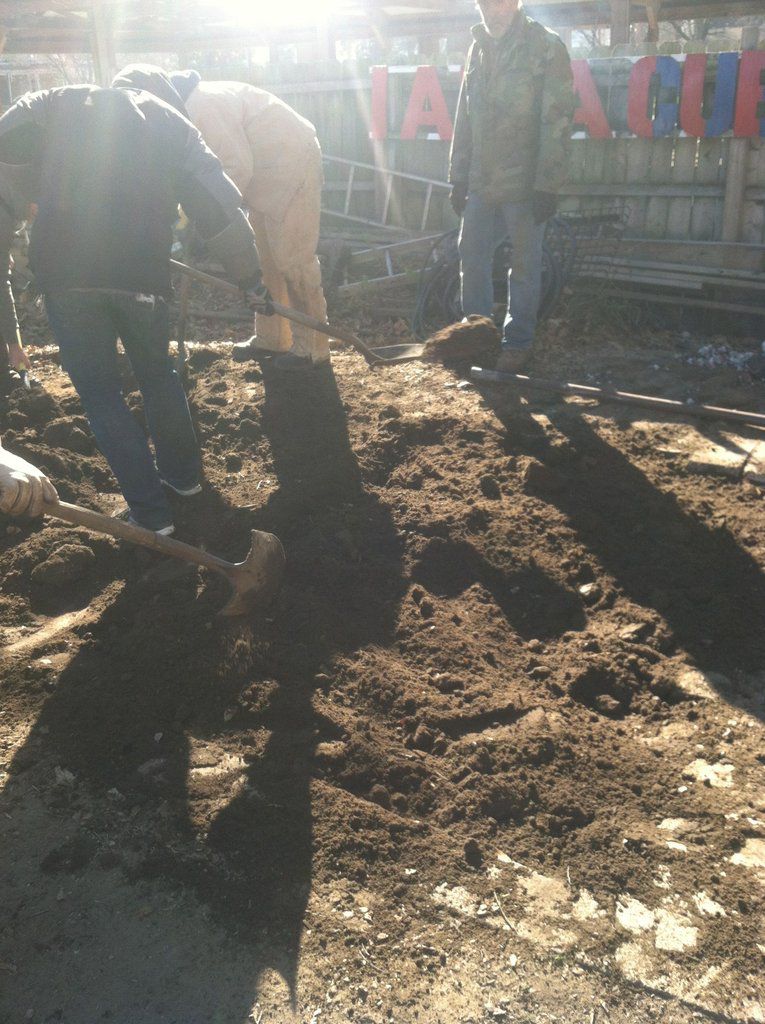 Необычный способ, приготовления, индейки, ветчины,американской, семьи, день благодарения