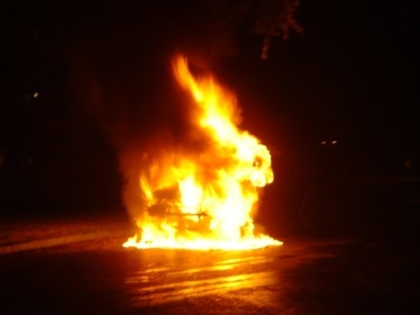 Лучшие ,фотографии, сделанные, в нужный момент,  2013 год