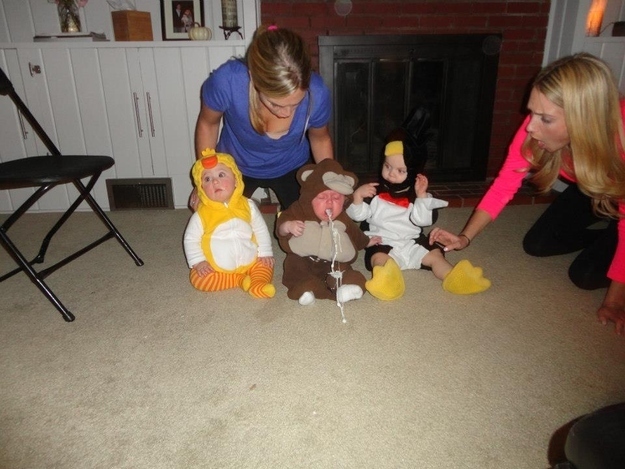 Лучшие ,фотографии, сделанные, в нужный момент,  2013 год