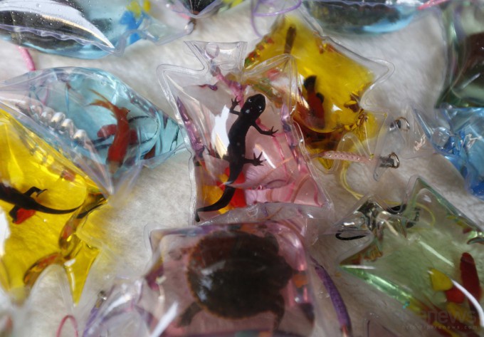 живые брелки Пекин