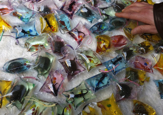 живые брелки Пекин