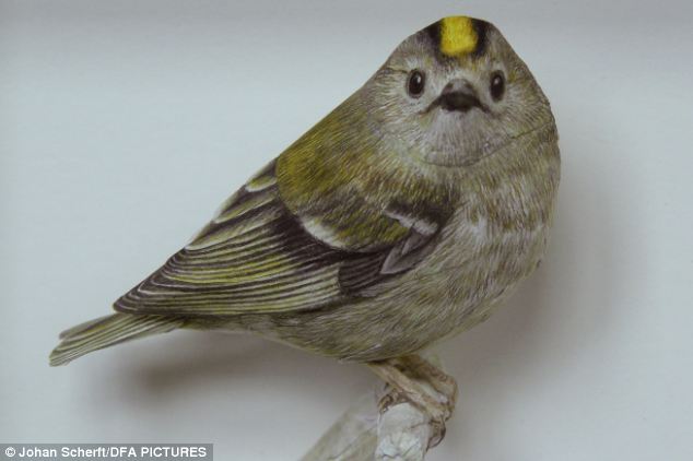 Джоан Шерфт, 3D-птицы , модели