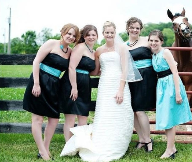 Смешные, свадебные, фото, идеальный снимок