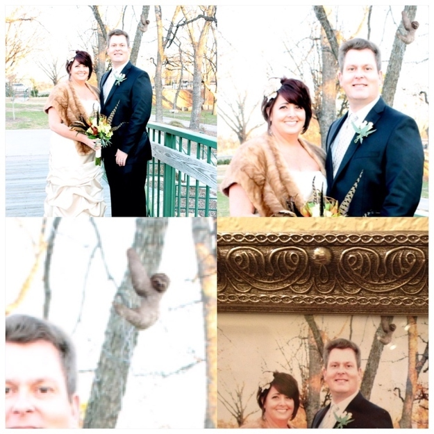 Смешные, свадебные, фото, идеальный снимок