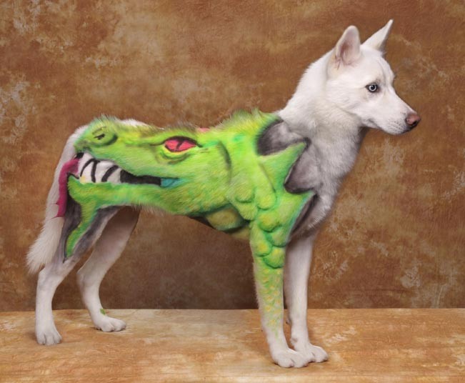 Конкурс, сумашедшие, стрижек, собак, Рен Незерленд