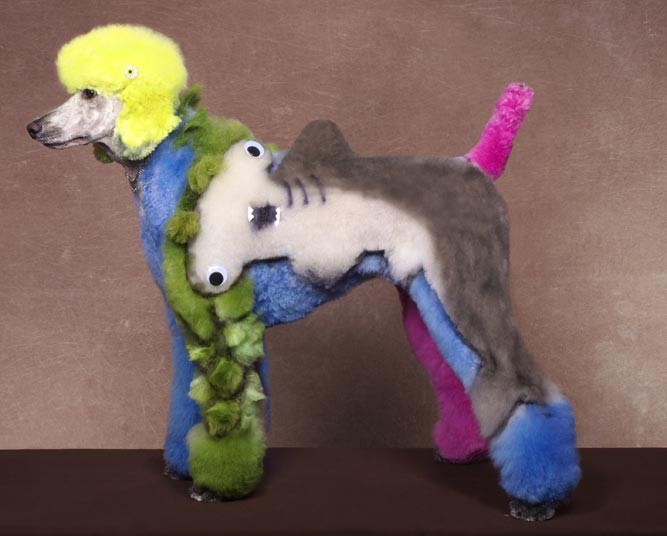 Конкурс, сумашедшие, стрижек, собак, Рен Незерленд