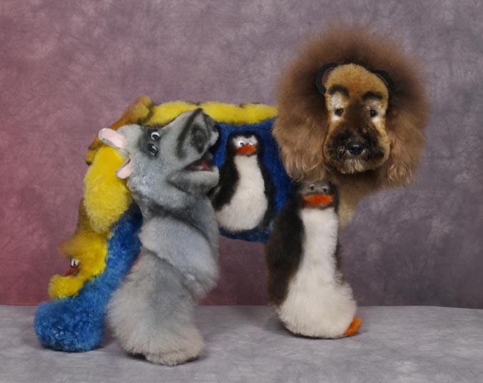 Конкурс, сумашедшие, стрижек, собак, Рен Незерленд