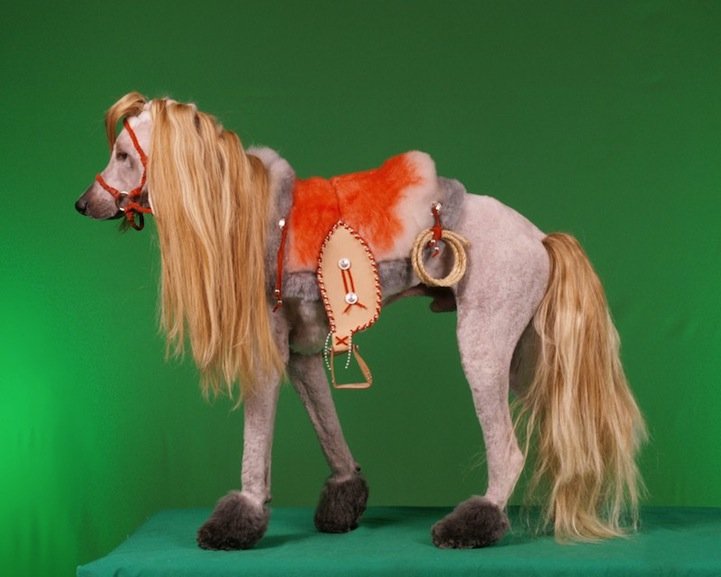 Конкурс, сумашедшие, стрижек, собак, Рен Незерленд