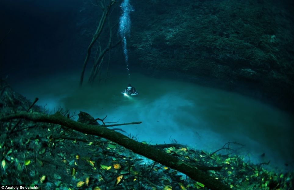 Река,на дне озера, город Тулум, полуостров Юкатан, Сенота Анджелита, Cenote Angelita, майя