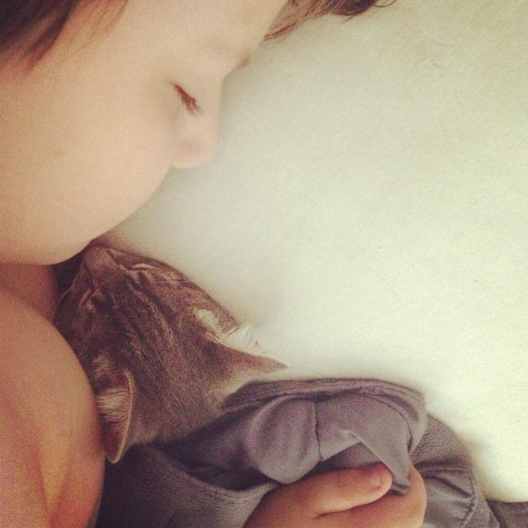 Трогательные, моменты, из жизни простых людей, сжимает сердце, Ричард Дейч