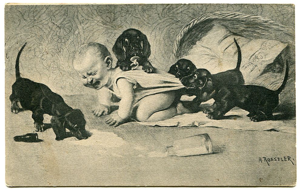 Коллекция открыток из прошлого,ретро-открытки,Света Дорошева