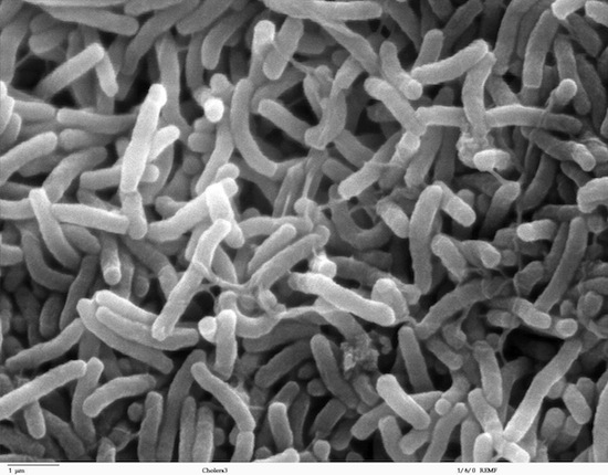 загадки челоечества, почему, люди возгораются, зачем зеваем, феромоны, люди, наука, ученые, тайны,факты