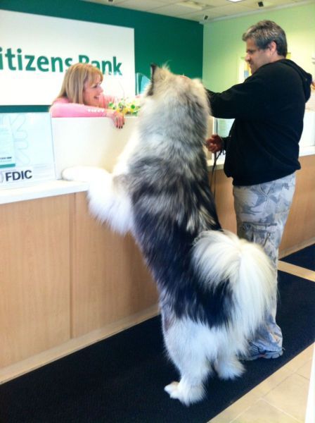 Позитив, юмор, смешные фотографии,прикол