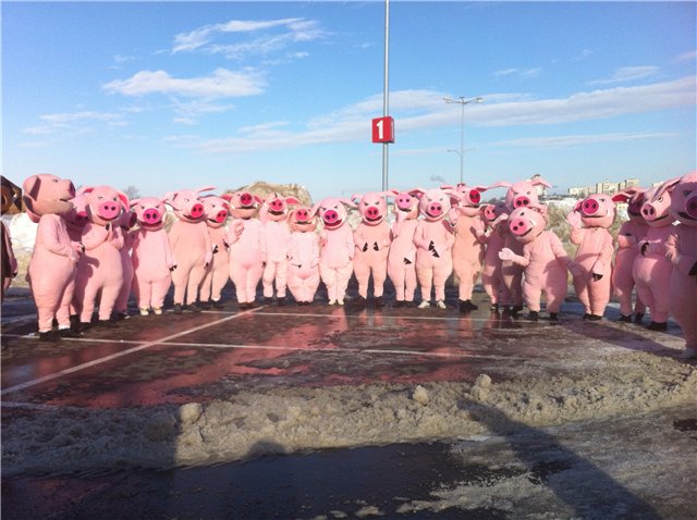 хрюши против, срок годности, продукты