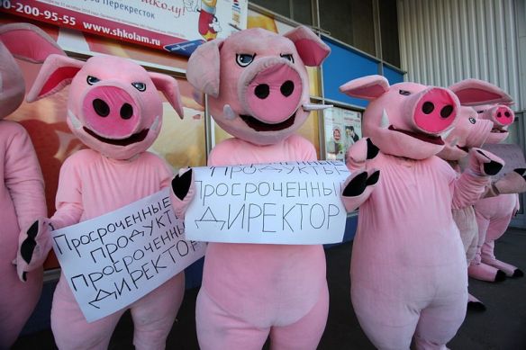 хрюши против, срок годности, продукты