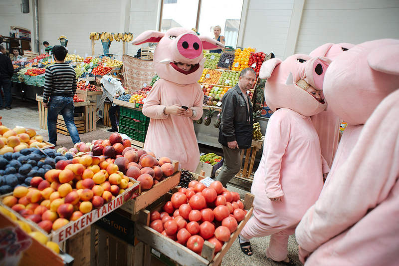 хрюши против, срок годности, продукты