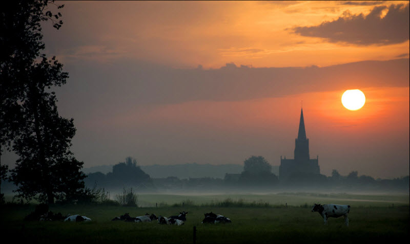 летние фото, жара, июль, лето 2013 